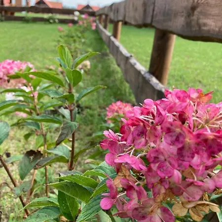 Casa de Férias Ostoja Bukowo, 9,1 'stilia' Borowy Mlyn