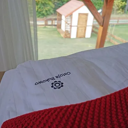 Ostoja Bukowo, 9,1 'stilia' * Borowy Mlyn