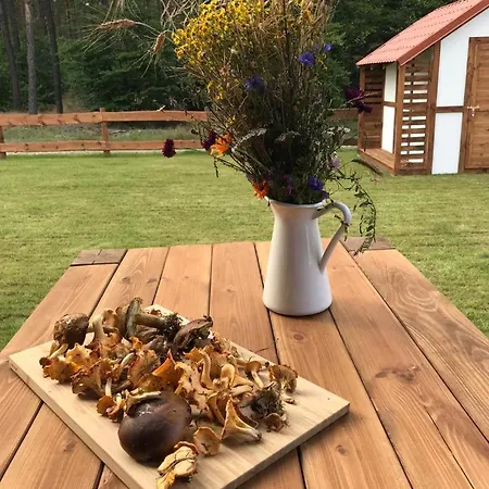 Holiday home Ostoja Bukowo, 9,1 'stilia' *