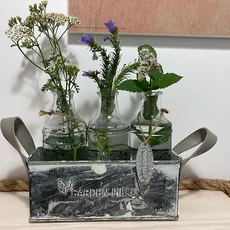 Feriehus Ostoja Bukowo, 9,1 'stilia' Borowy Mlyn