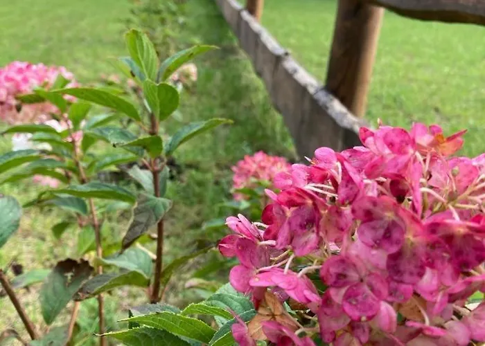 Semesterbostad Ostoja Bukowo, 9,1 'stilia' Borowy Mlyn