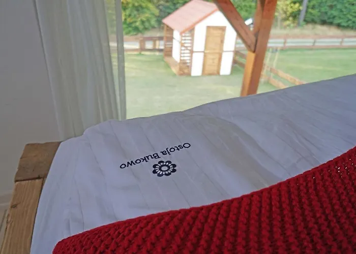 Ostoja Bukowo, 9,1 'stilia' * Borowy Mlyn