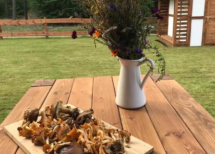 Ferienhaus Ostoja Bukowo, 9,1 'stilia' *