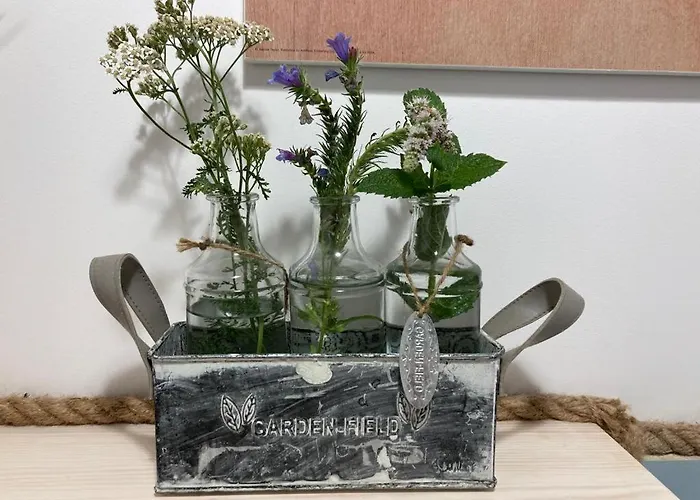 Semesterbostad Ostoja Bukowo, 9,1 'stilia' Borowy Mlyn